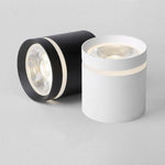 Cylindrical Shapes LED Modern Ceiling Lights Flush Mount Lighting