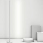 Minimalist Modern Strip LED Accent Floor Lamp