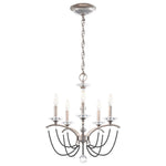 Priscilla 22"H x 18"W 5-Light Crystal Chandelier in Antique Silve