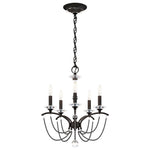 Priscilla 22"H x 18"W 5-Light Crystal Chandelier in Black
