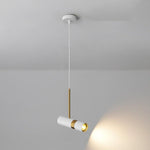 Spot Light Pendant Light Fixtures Nordic Metal LED Ceiling Light