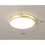 Minimalist Round Dimmable LED Gold Modern Flush Mount Ceiling Light