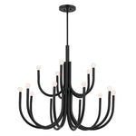 Bailey Street Home - 147-BEL-5016790 - Hollies Leaze - 15 Light Chandelier-35.75 Inches Tall and 40.25 Inches Wide