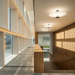 Omi Disc Ceiling Light