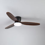 Nocturnus Ceiling Fan Light