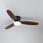 Nocturnus Ceiling Fan Light