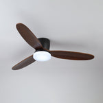Nocturnus Ceiling Fan Light