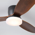 Nocturnus Ceiling Fan Light