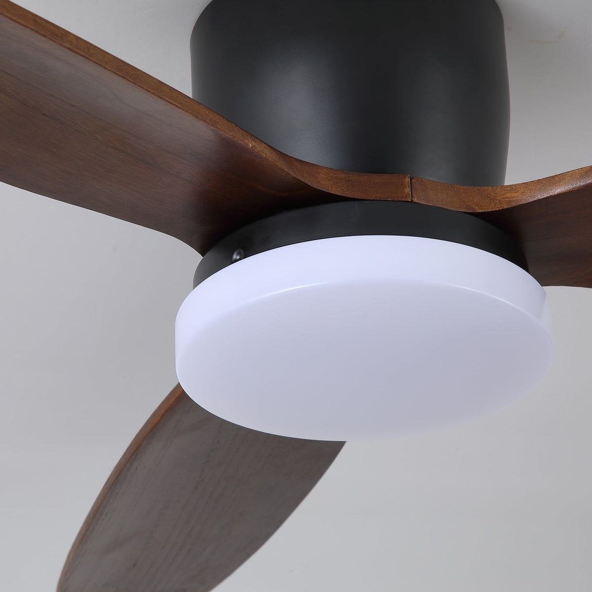 Nocturnus Ceiling Fan Light