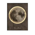 Moon Electric Meter Box Decorative Painting