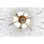 Varaluz Lighting - 359C07HG - Lafayette 7-Light Chandelier in Coastal Style 34.75 Inches Tall and 24 Wide