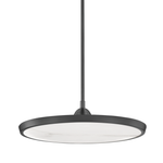 Crossing Waves Pendant, 1-Light, Standard Height, LED, Black, 9.1"W (139905-LED-STND-10 4T1C4Y)