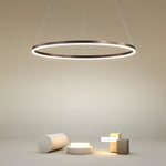 16'' Simple Circle Single Pendant Light Acrylic Pendant Lighting