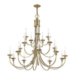 Bailey Street Home - 218-BEL-1875471 - Traditional Farmhouse Twenty Light Chandelier