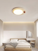 Luno Arte Ceiling Light
