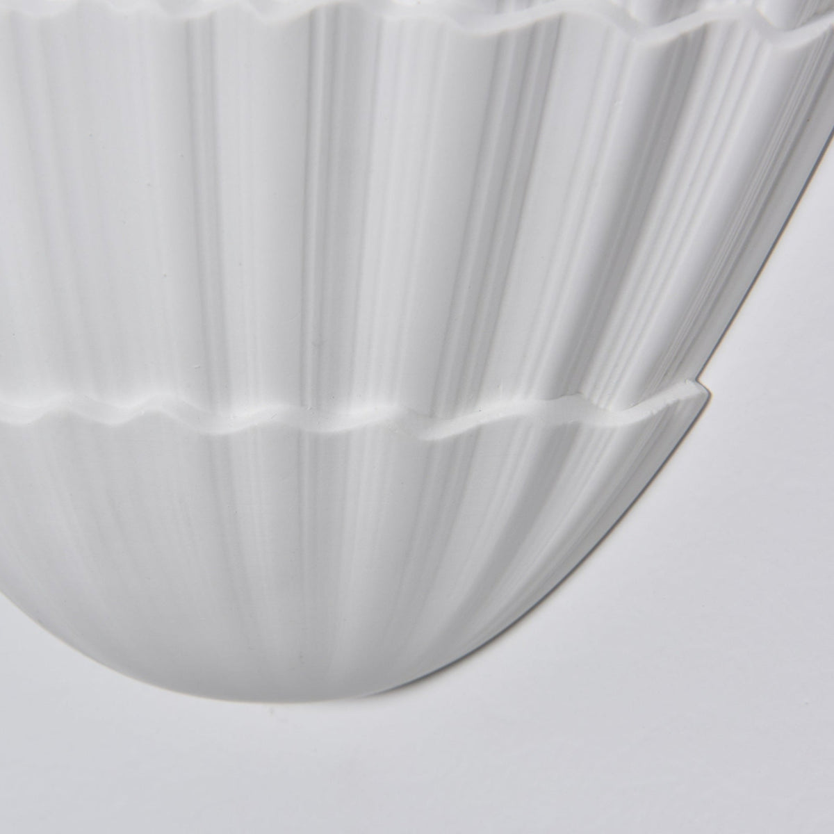 Shella Wall Light