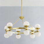 Bailey Street Home - 116-BEL-4885822 - Carey Orchards - 48W 12 LED Chandelier-18.75 Inches Tall and 34 Inches Wide