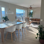 Acorn Pendant Light