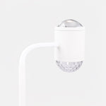 Ambient Floor Lamp