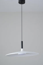 Aplomb Metal Pendant Lamp