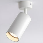 Arlo Accent Spotlight