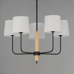 Aspen Grove Chandelier
