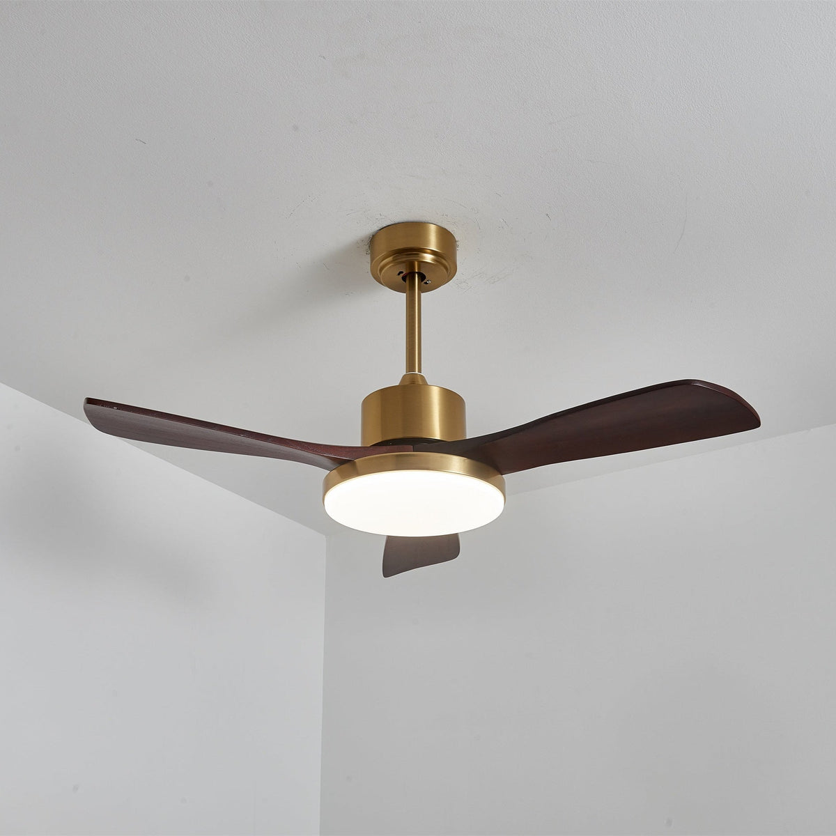 Aurevo Ceiling Fan Light