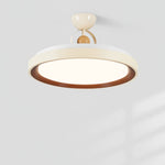 Aurora Nest Ceiling Lamp