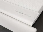 Remington Luxury Twin Sleeper Chair