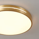 Caelum Ceiling Light