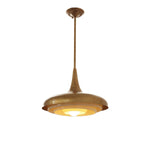 Calyx Pendant Light 17.7"