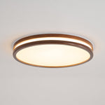 Cirro Ceiling Light