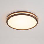 Cirro Ceiling Light