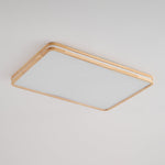 Cirro Ceiling Light