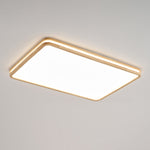 Cirro Ceiling Light
