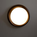 Dome Ceiling Light