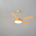Elysian Ceiling Fan Light