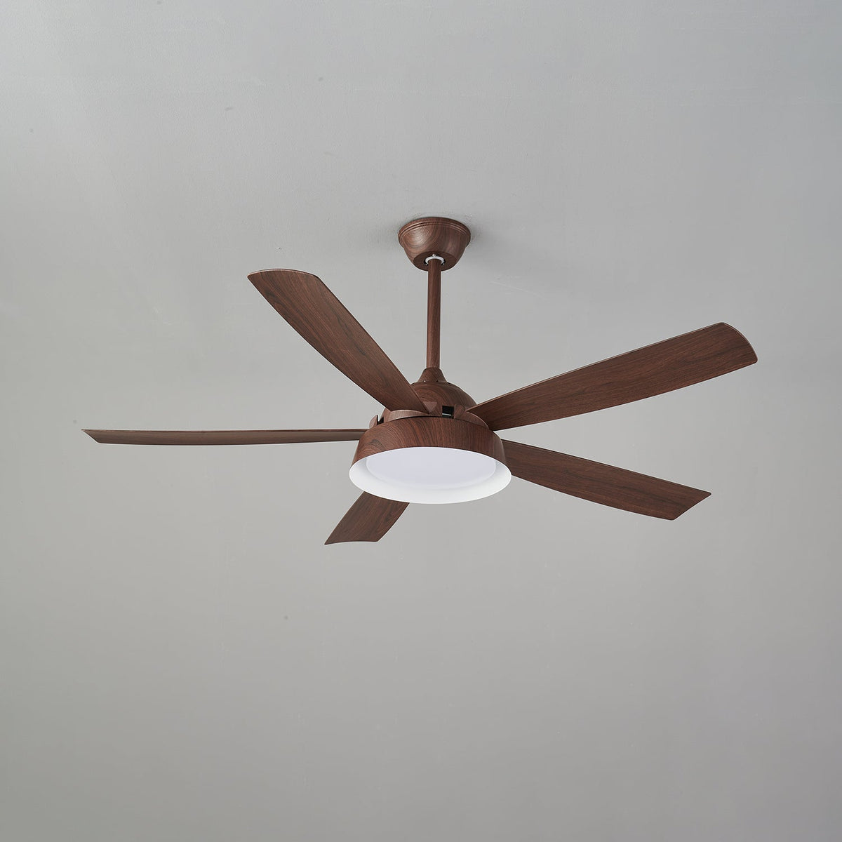 Elysian Ceiling Fan Light