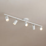 Evanna Ceiling Light