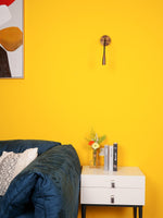 Flexi Hose Plug-in Wall Light