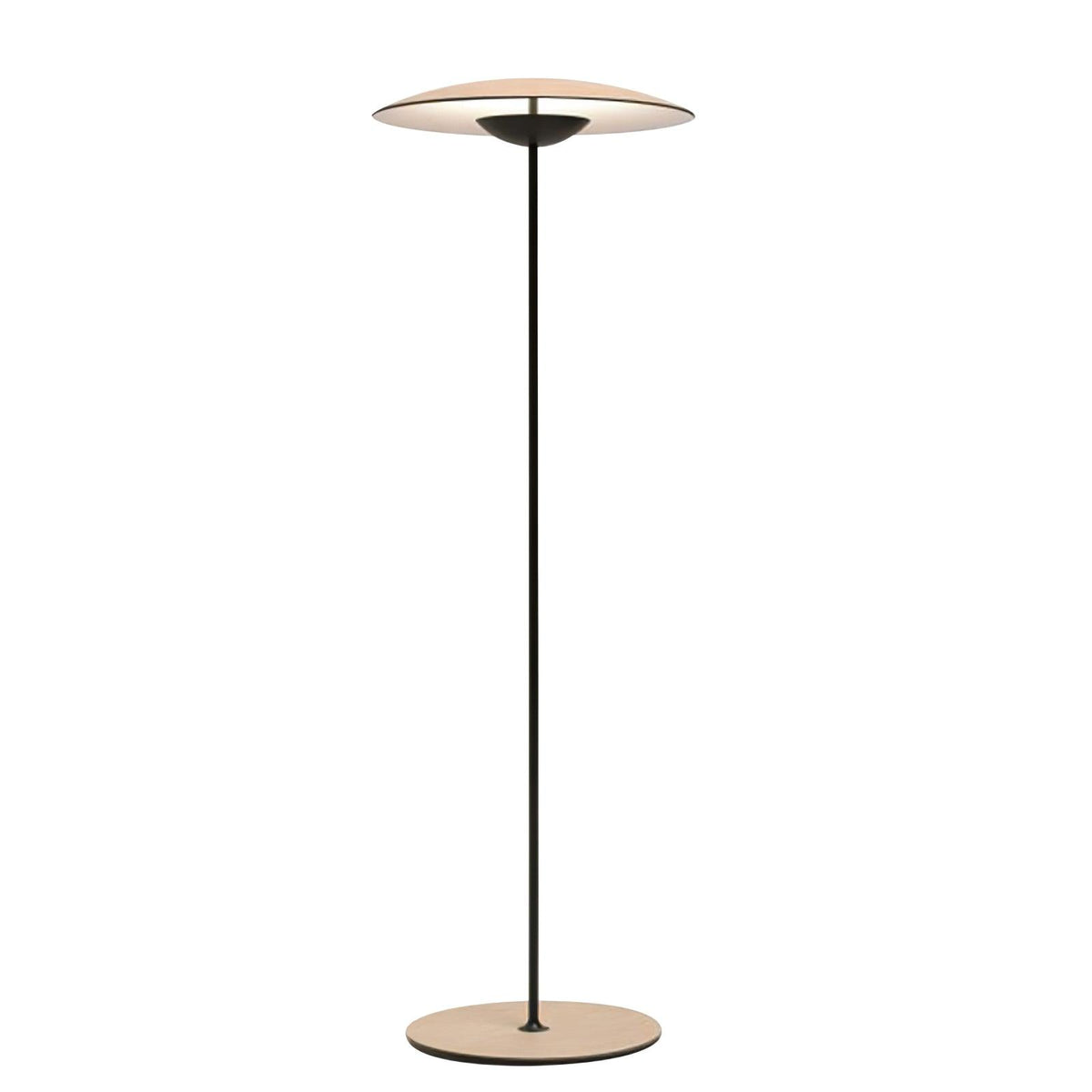 Innovative Directional Floor Lamp