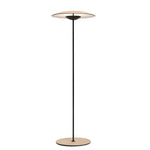 Innovative Directional Floor Lamp