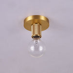 Gleam Brass Ceiling Light