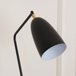 Grasshopper Floor Lamp 16.9"