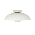 Harper Glass Dome Ceiling Lamp