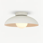 Harper Glass Dome Ceiling Lamp