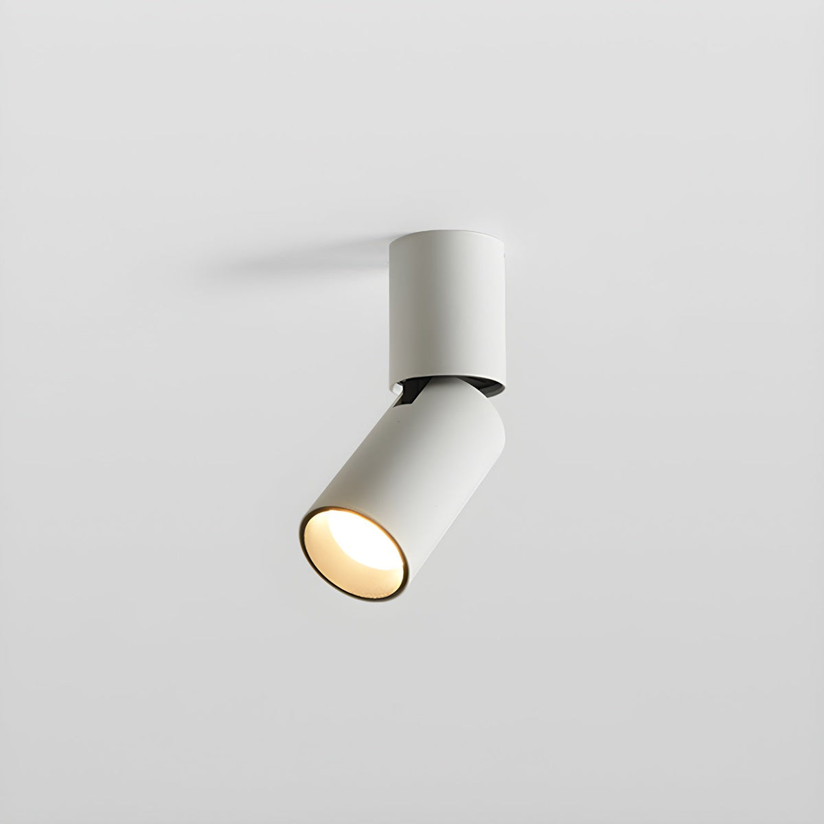Julian Adjustable Surface Downlight