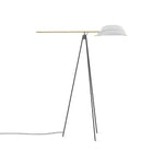 Heart Wing Tripod Floor Lamp