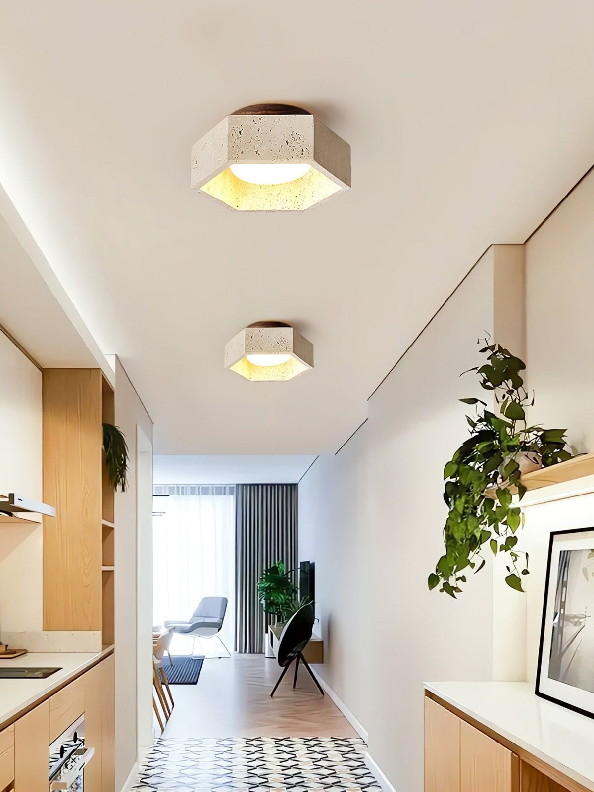 Hexa Core Ceiling Light