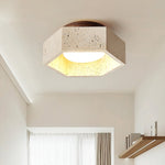 Hexa Core Ceiling Light